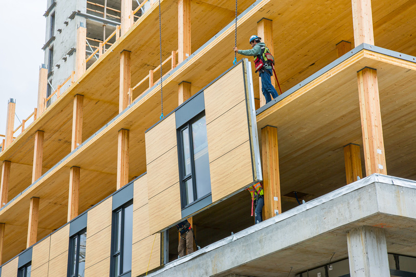 Перспективы строительства из дерева: CLT-панели