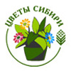 Выставка «Цветы. Сады и парки Сибири. Ландшафтная архитектура и дизайн»