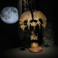 Экспозиция выставки «Сны Сибири» в Новосибирске. 2025 г.